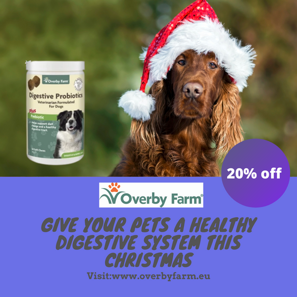 Gift your pet a healthy digestive system this Christmas with 20% off!