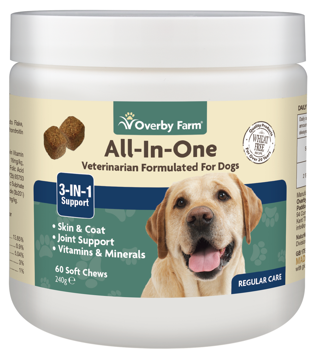 All-in-One Soft Chew for Dogs 60pcs