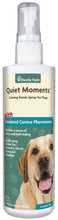 Quiet Moments Calming Room Spray for Dogs 236ml (8fl oz)